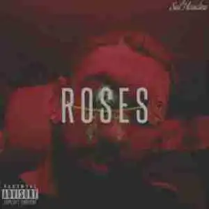 Roses BY Sal Houdini